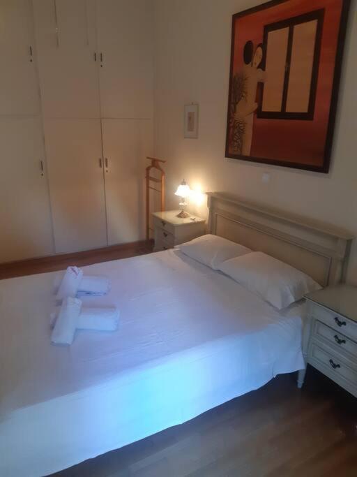 Classical Apartment At Lycabetus Hill Athena Bagian luar foto
